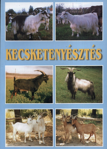 Kecsketenyszts