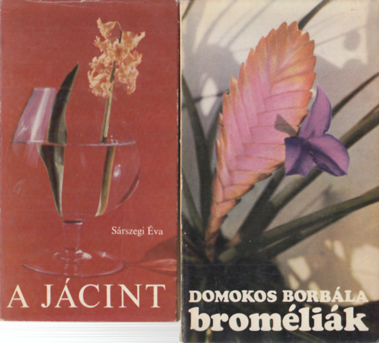 A jcint + Bromlik (2 db)