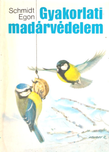 Gyakorlati madrvdelem