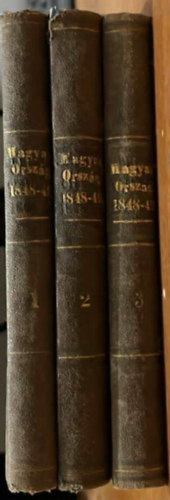 Magyarorszg 1848-49-ben (regnyes korrajz) I-III.
