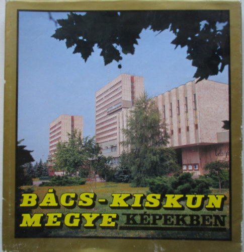 Bcs-Kiskun megye kpekben