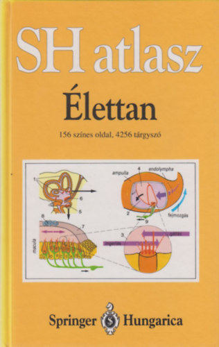 Sh atlasz-lettan