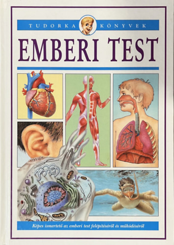 Emberi test