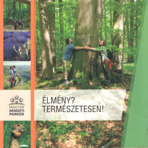 lmny? Termszetesen!