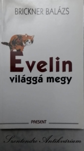 Evelin vilgg megy - mesedrmk (Sajt kppel!)