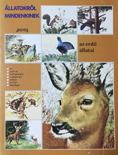 llatokrl mindenkinek - Az erd llatai