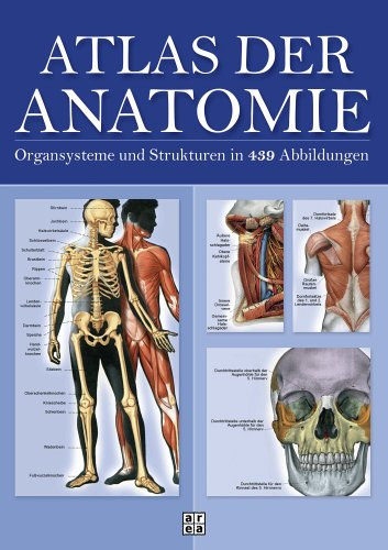 Barbara Weitz - Atlas der Anatomie. Organsystem und Strukturen in 439 Abbildungen