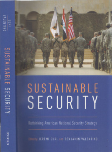 Sustainable Security (Rethinking American National Security Strategy)