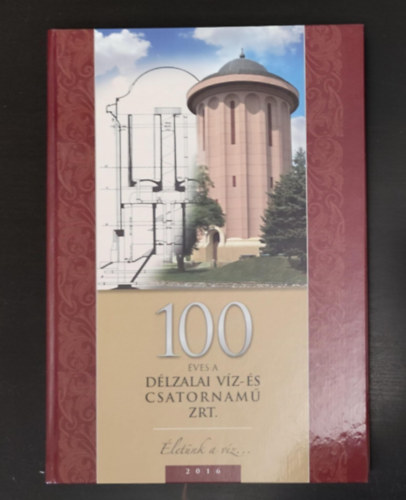 100 �ves a D�lzalai V�z- �s Csatornam� ZRT. (�let�nk a v�z)