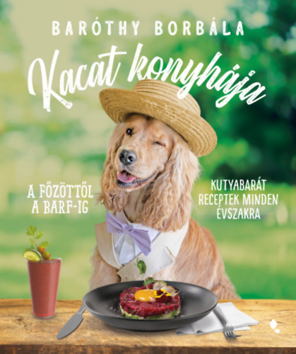 Kacat konyhja