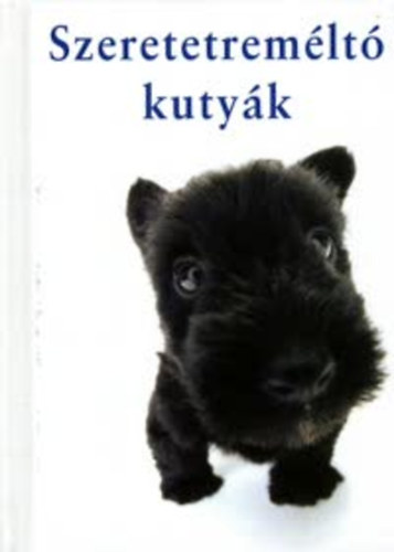 Szeretetremlt kutyk