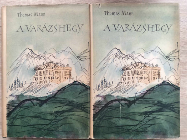 A varzshegy 1-2.. (Der Zauberberg) - Szllsy Klra fordtsban; Egyedi termkfot