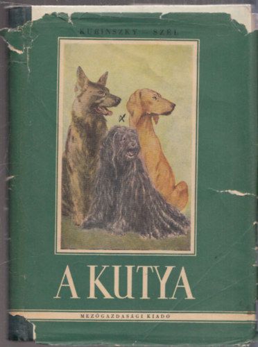 A kutya