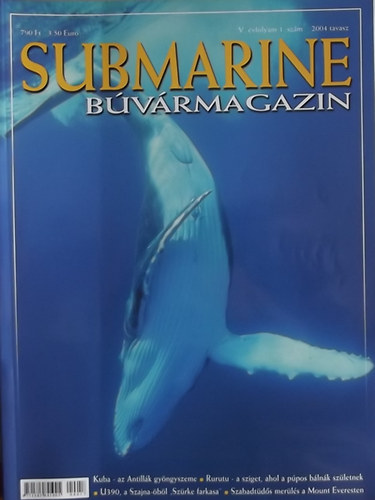 Submarine Bvrmagazin 2004. tavasz