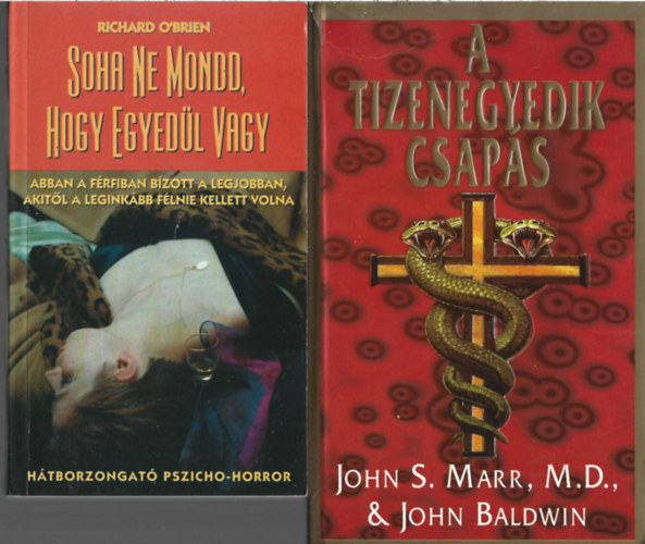 2 db knyv, Richard O'Brien: Soha ne mondd, hogy egyedl vagy, John S. Marr - John Baldwin: A tizenegyedik csaps