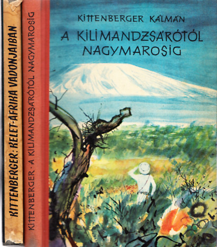 A Kilimandzsrtl Nagymarosig + Kelet-Afrika vadonjaiban (2 m)