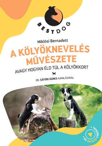 A k�ly�knevel�s m�v�szete - avagy hogyan �ld t�l a k�ly�kkort