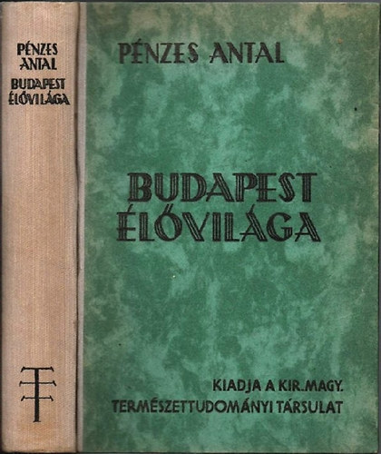 Pnzes Antal - Budapest lvilga