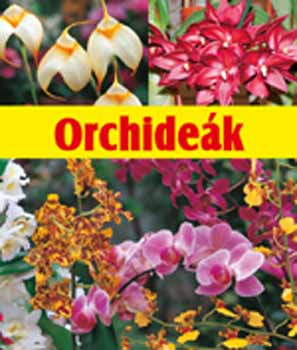Lutz Rllke - Orchidek
