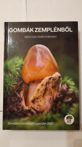 Gomb�k Zempl�nb�l nemcsak zempl�nieknek