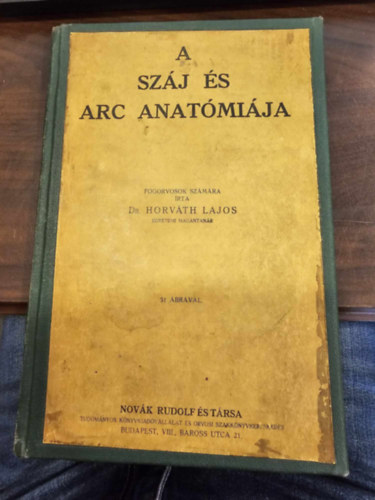 A szj s arc anatmija