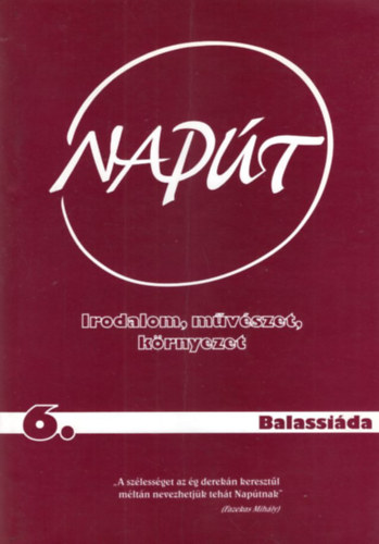Napt VI. vf. 6. szm 2004. augusztus