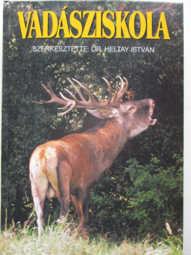 Vadsziskola