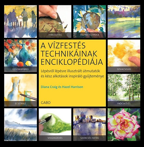 Diana Craig; Hazel Harrison - A vzfests technikinak enciklopdija - Lpsrl lpsre illusztrlt tmutatk gyjtemnye