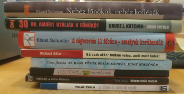 8 db Big Boss: Az otthon is szeretett vezet�; Minden f�n�k mocsok; Vezet�kr�l nem csak vezet�knek; Az igazi f�n�k sosem mondja, hogy k�sz�n�m; B�rcsak akkor tudtam volna, amit most tudok!; A c�gvezet�s 11 f�b�ne - amelyek ker�lend�k