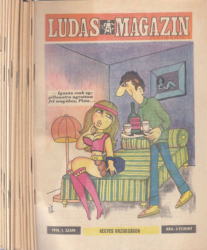 Ludas magazin 1974/1-12. (teljes �vfolyam, lapsz�monk�nt) + 2 db. k�l�nsz�m (Ny�ri �r�m�k + Vid�m nyaral�s)