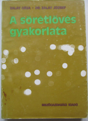 A srtlvs gyakorlata