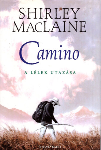 Camino - A llek utazsa