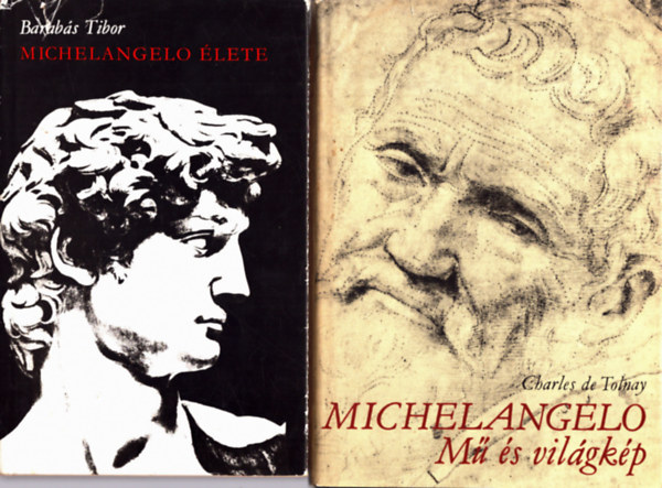 2 db Michelangelo knyv: Michelangelo lete + Michelangelo M s vilgkp