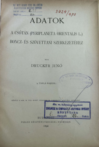 Adatok - A Cs�t�n (Periplaneta Orientalis L.) Boncz-�s sz�vettani szerkezet�hez