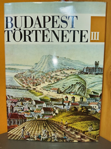 Budapest t�rt�nete a t�r�k ki�z�s�t�l a m�rciusi forradalomig (Budapest t�rt�nete III.)