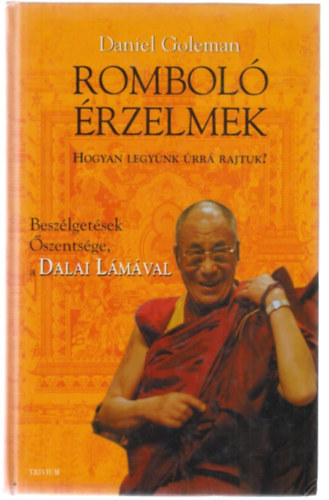 Rombol rzelmek -Beszlgetsek szentsge, a Dalai Lmval