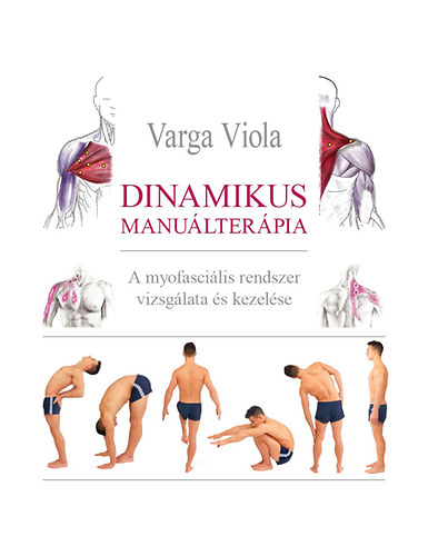 Dinamikus manulterpia
