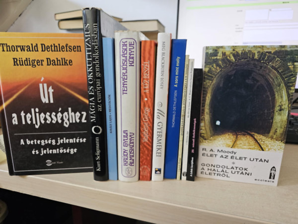 11db ezoterika, KNYVMENT AJNLAT: t a teljessghez+ Mgia s okkultizmus az eurpai gondolkodsban+ Meditcik+ lmosknyv+ A kz beszl+ A ma gyermekei+ A sors mint esly+ Nostradamus lete s jvendlsei+ A tkletes jg