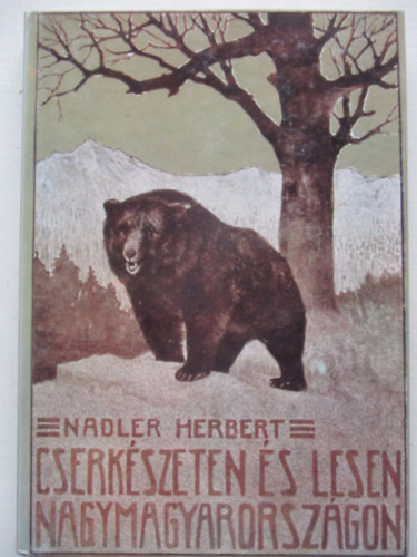 Cserkszeten s lesen Nagymagyarorszgon