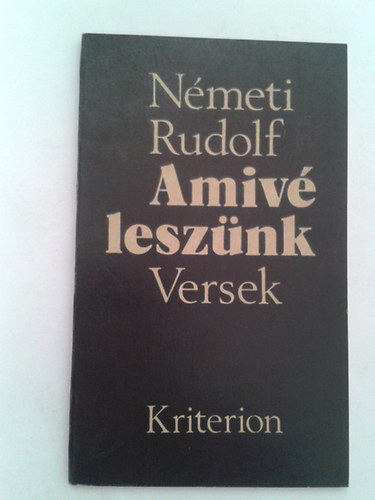 Amiv lesznk