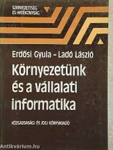 Krnyezetnk s a vllalati informatika