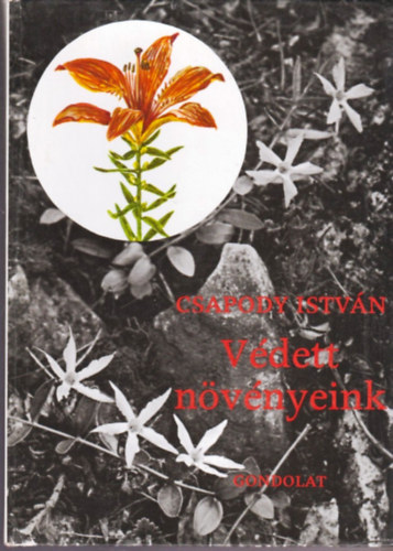 Vdett nvnyeink