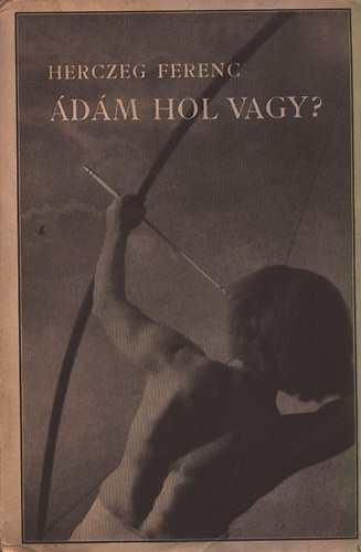 dm, hol vagy? (I. kiads)