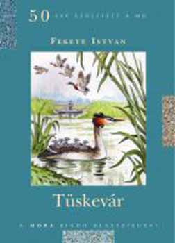 Fekete Istvn - Tskevr