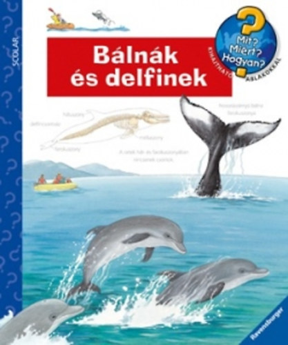 Doris Rbel - Blnk s delfinek