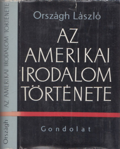 Az amerikai irodalom trtnete