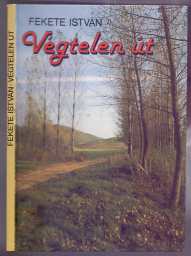 Vgtelen t - trtnelmi regny