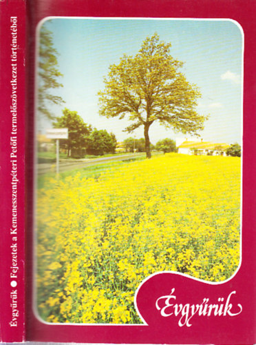 Turai Lajos - vgyrk- Fejezetek a kemenesszentpteri Petfi Termelszvetkezet trtnetbl