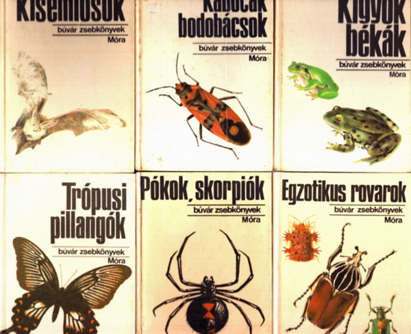 6 db Bvr zsebknyv: Pkok, skorpik + Kisemlsk +Kabck bodobcsok + Kgyk bkk + Egzotikus rovarok + Trpusi pillangk