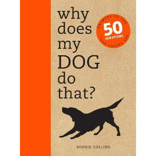 Why does my DOG do that?- Mirt csinlja ezt a kutym? 50 krds
